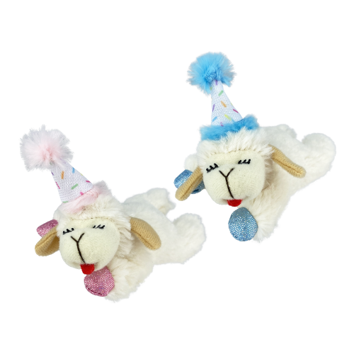 Multipet Cat Lamb Chop Birthday Catnip Toy, Assorted Discount