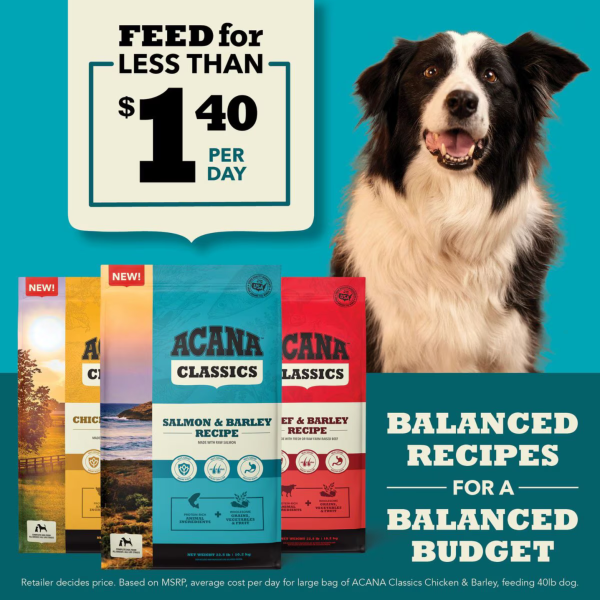 Acana Classics Salmon & Barley Recipe Dry Dog Food Online now