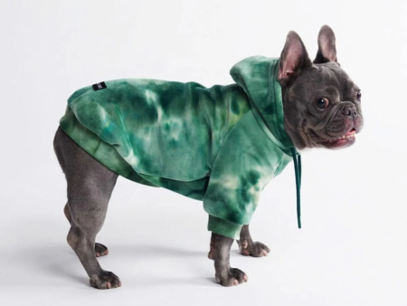 Spark Paws Velvet Dog Hoodie Emerald Green For Sale