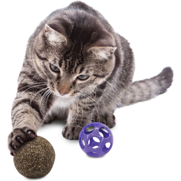 KONG Blissy Moon Ball Cat Toy with Catnip, Purple Online now