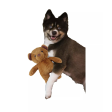 Dogstar Toys Roosevelt the Teddy Bear Plush Dog Toy Online Sale