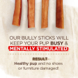 Natural Farm Odor Free Jumbo Bully Stick 6  Online now