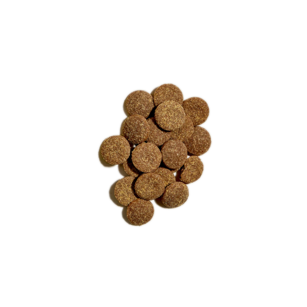 Open Farm Better Biscuits Dog Treats Turkey & Oatmeal 8 oz Supply