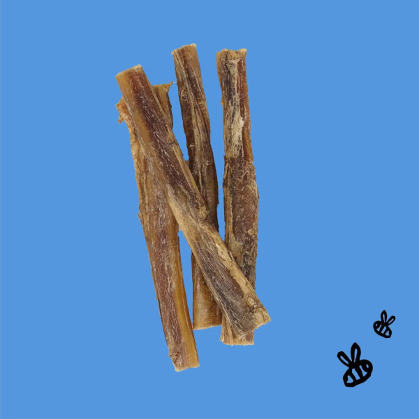 Honey I m Home 6  Buffalo Bully Sticks Natural Honey Coated Chews Grain-Free Dog Treats 5 pk Sale