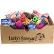 Petsport - Luckys Boneyard Tear Away Carton Display Online Sale