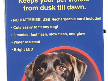 Petsport - Fido Flash Usb Rechargeable Led Safety Collar For Discount