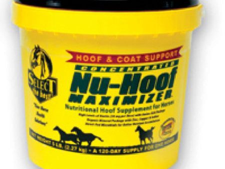 Richdel Inc - Nu-hoof Maximizer Hoof & Coat Support For Horses Discount