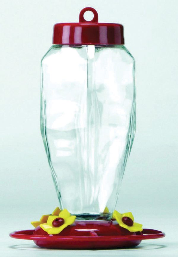 Apollo Investment Holding - Glass Hummingbird Feeder Hot on Sale