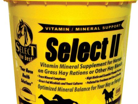 Richdel Inc - Select Ii Vitamin & Mineral Supplement For Horses Discount