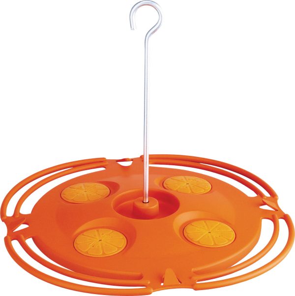 Woodstream Hummingbird  W - Plastic Flat Oriole Feeder For Sale