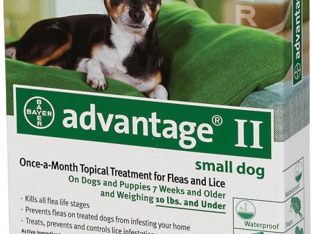 F.c.e. Inc              D - Advantage 2 Dog Green Online Hot Sale