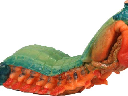 Bio Bubble Pets Llc-Creepy Creatures Mantis Shrimp Ornament Supply