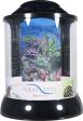 Bio Bubble Pets Llc - Aqua Terra With 3d Coral Background Aquarium Cheap