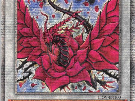 Black Rose Dragon [LIOV-EN100] Starlight Rare Supply